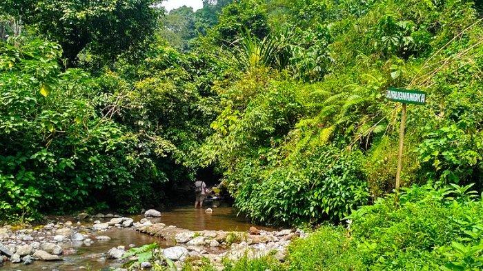 Tempat masuk menuju air terjun Curug Nangka di Taman Nasional Gunung Halimun Salak, Jawa Barat.