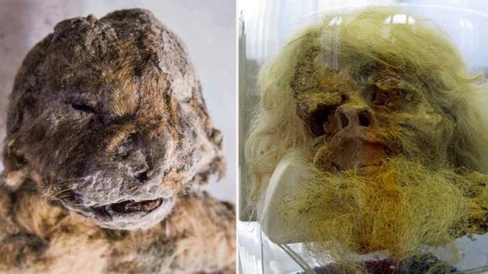 Hii. . . Mulai Tengkorak Alien Hingga Penyihir, Ini 8 Temuan Paling Mengerikan yang Ada Dalam Gua