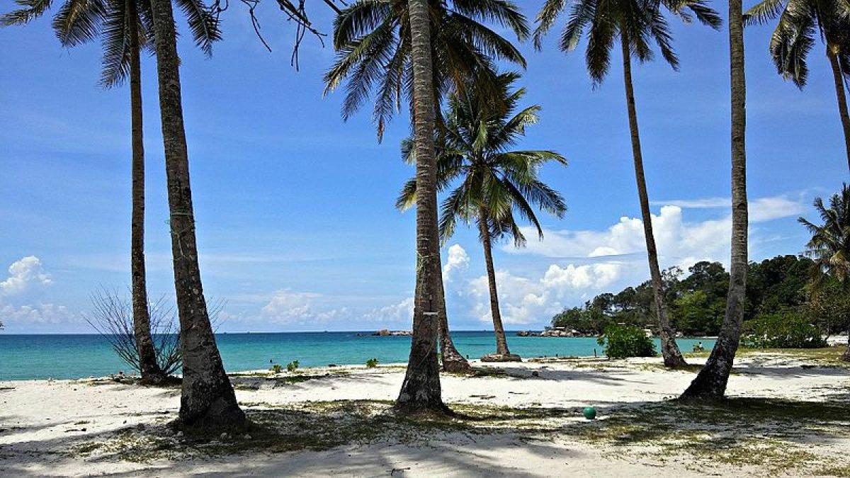 Terletak di ujung pulau Bintan, Pantai Trikora menawarkan pemandangan indah bentangan laut berwarna hijau kebiruan. Di atas pasir putihnya berdiri kokoh pohon kelapa yang menambah keindahan pantai.