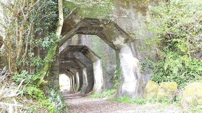 Menelusuri Terowongan Misterius di Pegunungan Kyushu, Serasa Memasuki Dimensi Lain