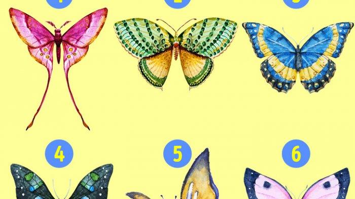 Tes Kepribadian Yuk, 1 Gambar Kupu-kupu yang Kamu Pilih Ini Bisa Ungkap Karakter Dominanmu