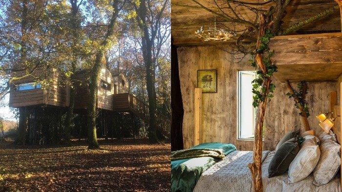 Mencoba Sensasi Menginap di Rumah Pohon Bertema Hutan, Mau?