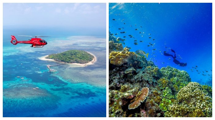 Menelusuri The Great Barrier Reef, Gugusan Karang Terbesar di Dunia yang Terancam Hancur
