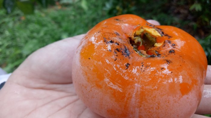 Dari Jeruk hingga Persik, 8 Buah Ini Cocok untuk Jaga Kondisi Kesehatan Tubuh di saat Musim Hujan