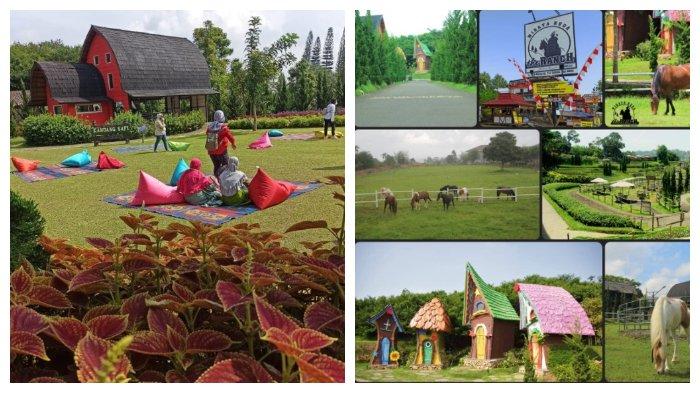 Harga Tiket Masuk The Ranch Cisarua, Wisata Berkuda dengan Beragam Spot Foto Instagenic