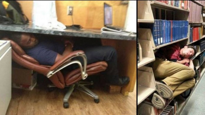 17 Foto Kocak Ini Buktikan Orang Bisa Tidur di Mana Saja, tapi ya Jangan Sampai Kayak No 10