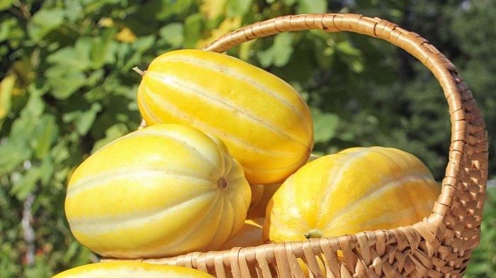 5 Tips Memilih Timun Suri untuk Sajian Buka Puasa