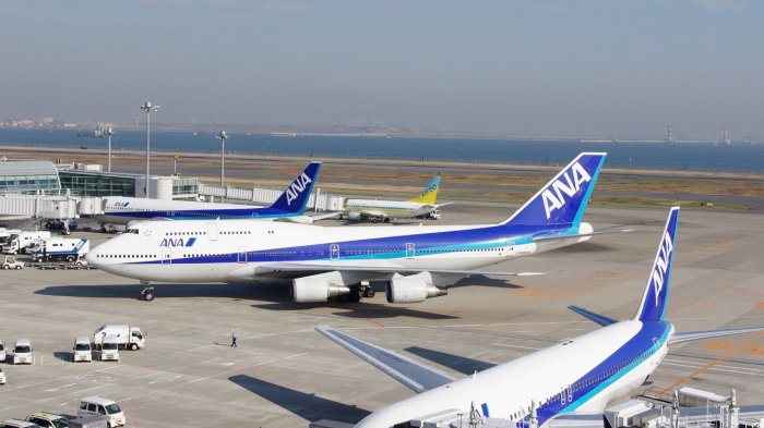 Astaga! Lari ke Landasan Pacu, Hewan Lucu Ini Sebabkan 14 Pesawat Delay di Bandara Tersibuk Tokyo