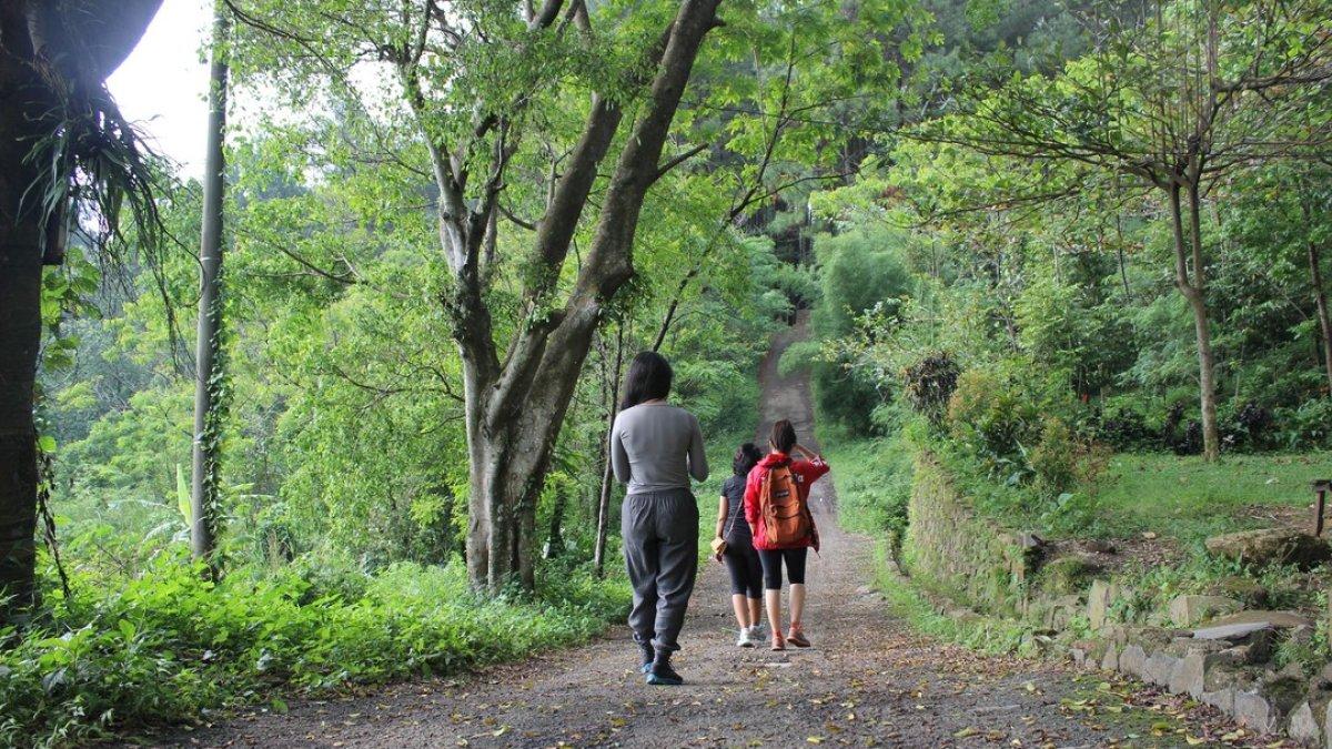 Wisatawan sedang trekking di kawasan Gunung Pancar, tempat wisata alam di Bogor.