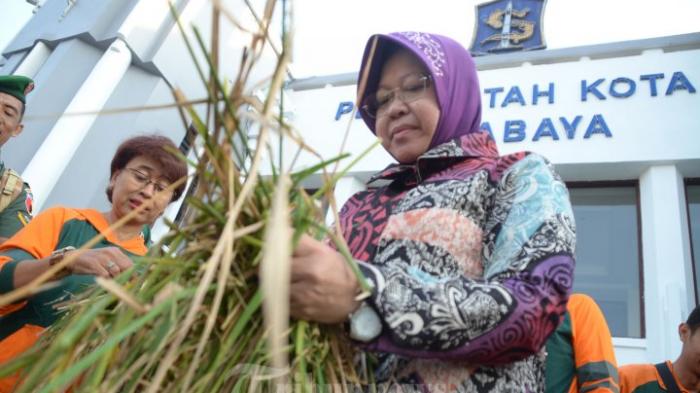 Tri Rismaharini - Wali Kota Surabaya Pakai Kostum Ini, Lihat Apa yang Ada di Tangannya