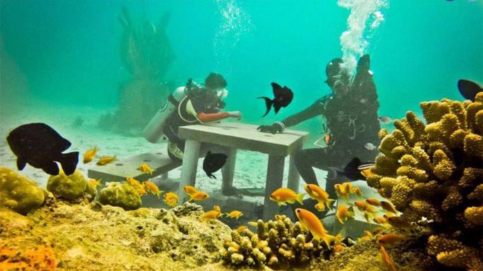 Destinasi Wisata Halal - Sambut Jadi Wisata Halal, Banda Aceh Terus Berbenah Mulai dari Ini