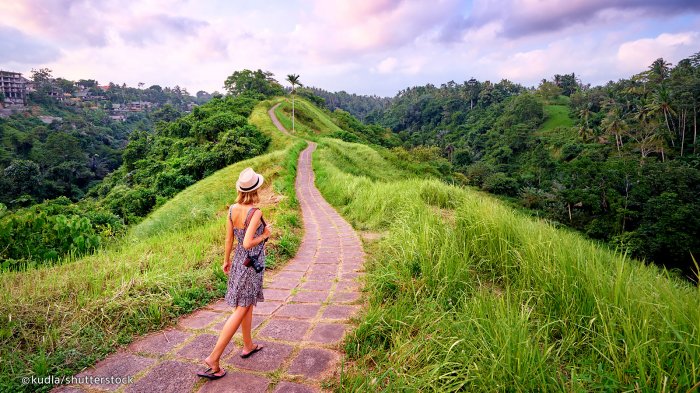 Cara Mudah dan Murah Menuju Ubud dari Bandara Ngurah Rai, Trans Sarbagita Jadi Andalan