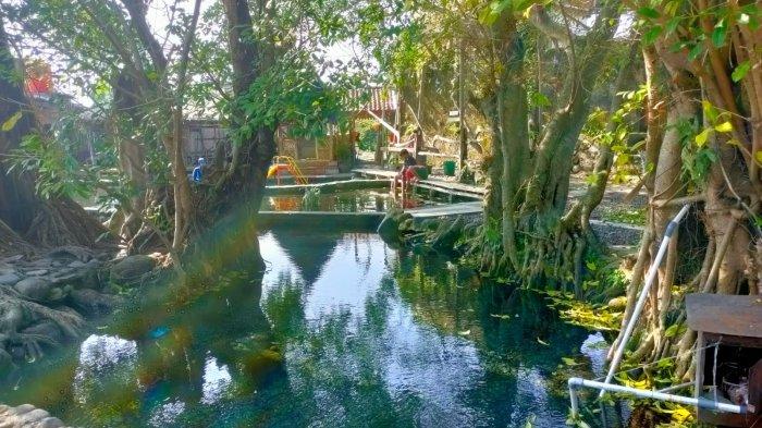 Kolam alami di Umbul Manten, Kabupaten Klaten, Jawa Tengah yang dikelilingi pepohonan rindang dan suasana sejuk
