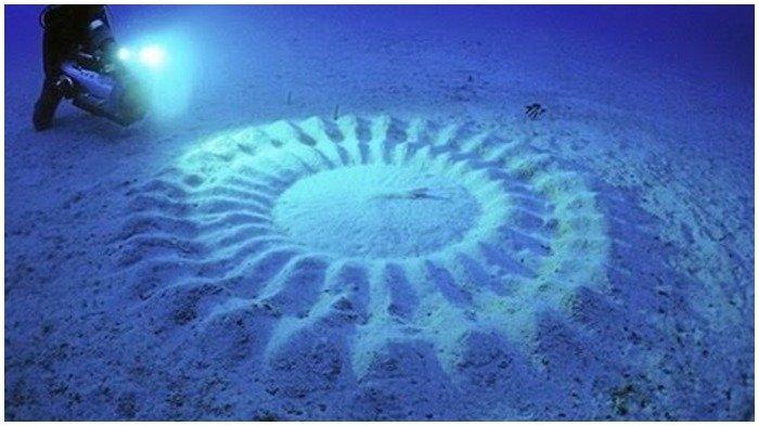 5 Fenomena Aneh yang Terjadi di Lautan, Termasuk Adanya Crop Circle Bawah Laut di Jepang