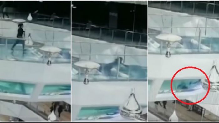 Tersandung Saat Berlari, Wanita di China Jatuh ke dalam Tangki Berisi Ikan Hiu