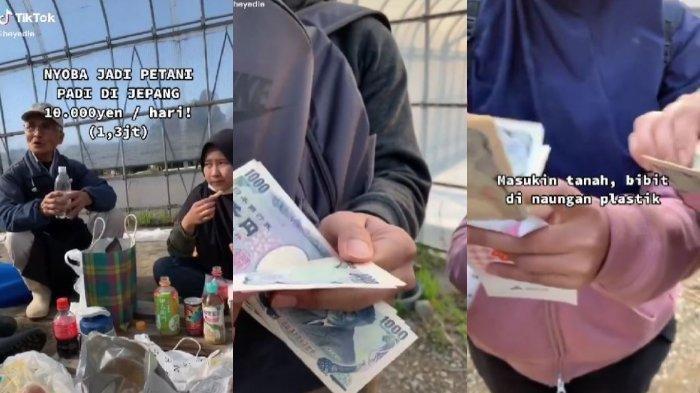 Kisah Mahasiswi Indonesia yang Kerja Jadi Petani di Jepang, Sehari Dapat Rp 1,3 Juta