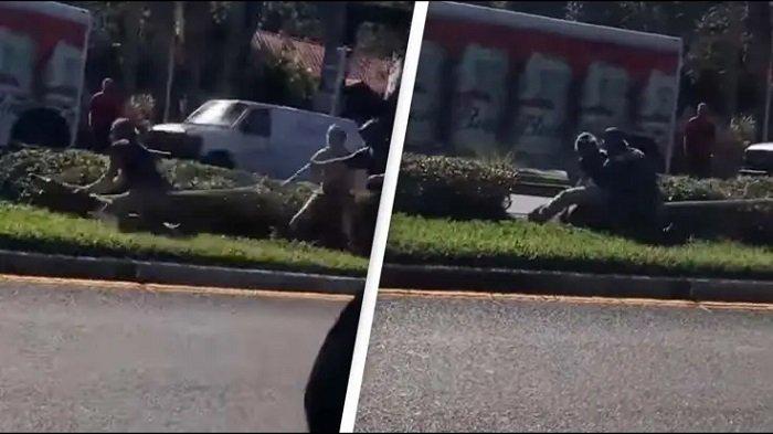 Viral Video Buaya Kabur Pecahkan Kaca Mobil saat Akan Dipindahkan dari Kebun Binatang