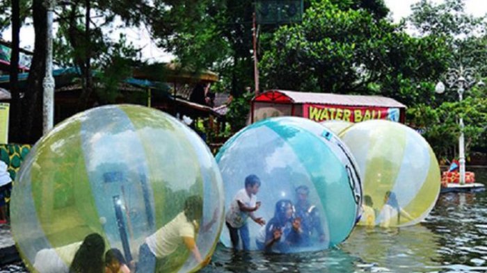 5 Kegiatan yang Bisa Traveler Lakukan di Taman Wisata Matahari Bogor, Ada Penginapannya Juga
