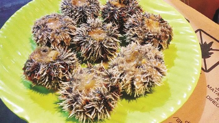 Seafood Bali - Yummy! Ini Satu-satunya Warung yang menyediakan Olahan Landak Laut, Rasanya Juara