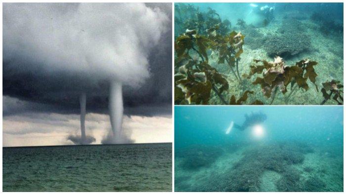 Seringnya Puting Beliung di Perairan hingga Tumbuh Karang Baru di Laut, Tanda Perubahan Iklim?