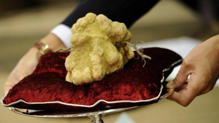 Daftar 8 Makanan Termahal di Dunia, Dua di Antaranya Bisa Ditemukan di Indonesia
