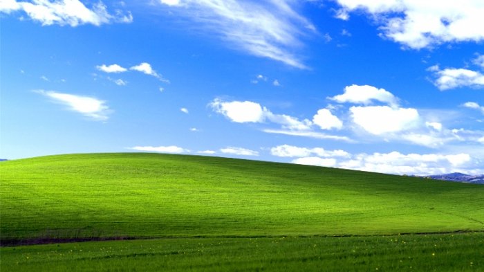 TERKUAK! Jarang Diketahui, Inilah Sosok di Balik Wallpaper Windows XP Legendaris
