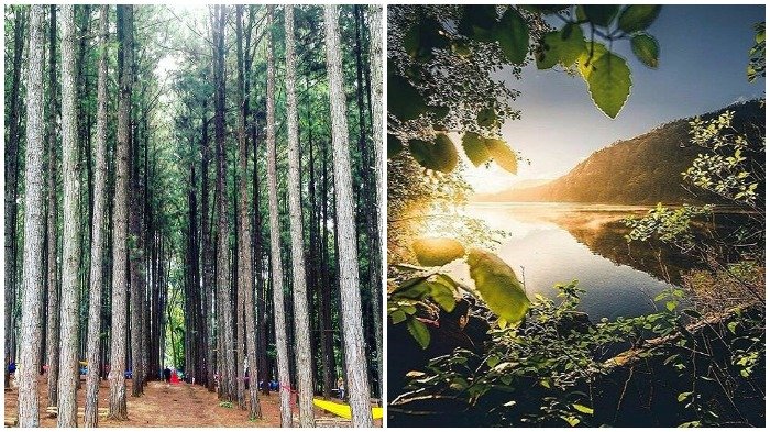 Pendakian Gunung Gede Ditutup, 12 Wisata Alam Alternatif di Sekitar Cianjur juga Ga Kalah Seru