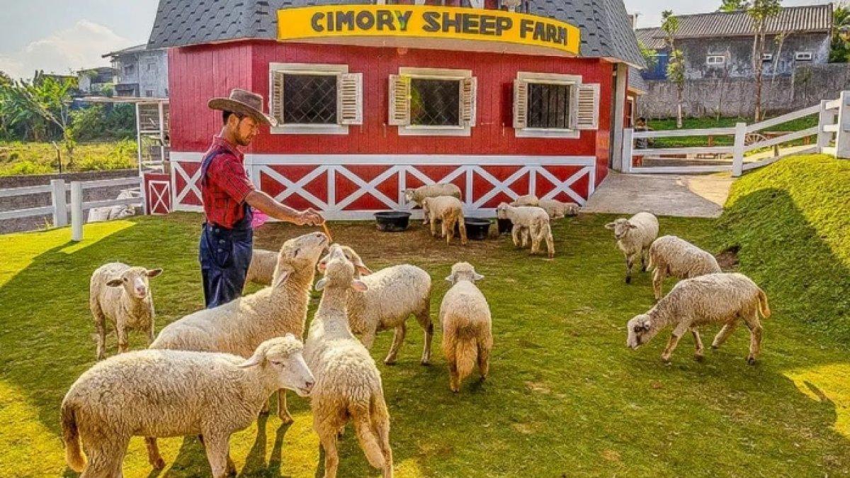 Harga Tiket Masuk Dairyland Farm Theme Park Prigen 2023, Tempat Wisata di Jawa Timur yang Terkenal