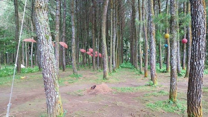 4 Tempat Wisata Dekat Rowo Bayu Banyuwangi, Telaga yang Dikaitkan dengan Kisah KKN Desa Penari