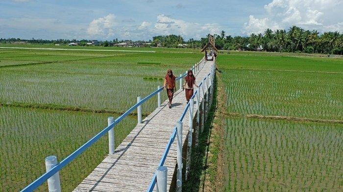 Menelusuri Keindahan Taman Sawah, Tempat Wisata Baru di Lhokseumawe yang Instagramable
