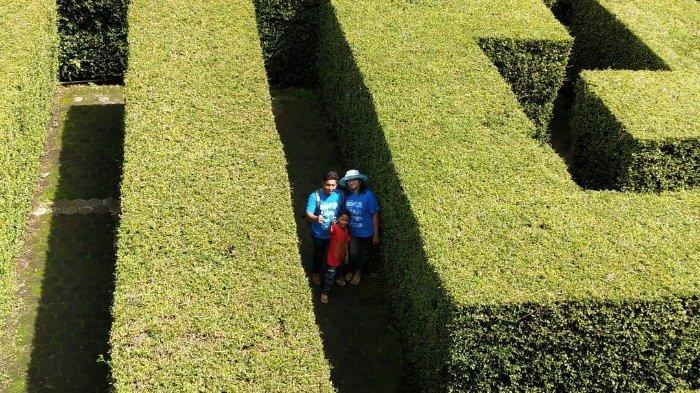 5 Taman Labirin Terbaik di Indonesia, Termasuk Taman Labirin Coban Rondo di Malang