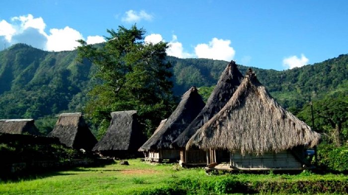 Wisata Flores - Selain Wae Rebo, Inilah Kampung Adat Wologai yang Punya Rumah Kerucut di NTT