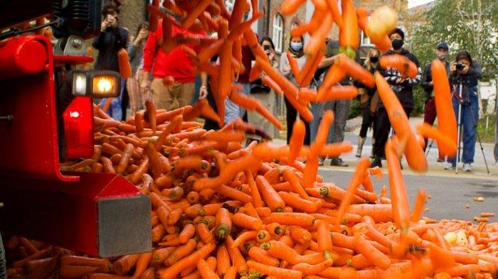 Untuk Dapatkan Gelar Master, Mahasiswa Spanyol Buang 31 Ton Wortel di Jalanan Kota London