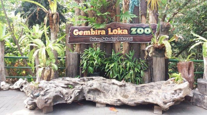 Panduan Rute Menuju Gembira Loka Jogja Buat Turis Jakarta, Lengkap Harga Tiket Masuk & Jam Buka