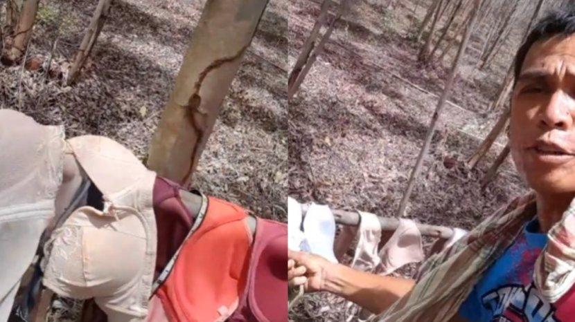 Puluhan Bra dan Celana Dalam Ditemukan di Perkebunan, Siapa Pemiliknya?