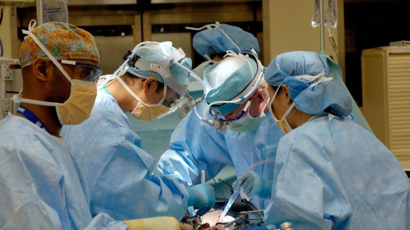 Serge Voronoff: Dokter yang Mentransplantasikan Testis Monyet ke Pria Tua Biar Awet Muda