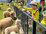 Ada-mini-zoo-di-Playground-The-Nice-Funtastic-Park-Cianjur-Jawa-Barat.jpg