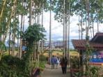 Agrowisata-BMJ-Lampung.jpg