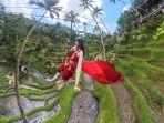 Alas-Harum-Bali-terletak-di-Jalan-Raya-Tegallalang-Kecamatan-Tegallalang-Kabupaten-Gianyar-Bali.jpg