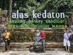Alas-Kedaton-satu-tempat-wisata-hits-di-Tabanan-Bali.jpg