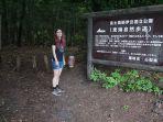 Aokigahara-Forest-misteri-dan-keindahan-alam-yang-memikat-wisatawan-di-Jepang.jpg