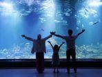 Aquarium-Indonesia-Pangandaran-3.jpg