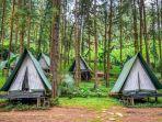 Area-glamping-di-Rumah-Angsa-Guci-Tegal-Jawa-Tengah.jpg