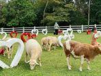 Asia-Farm-1.jpg