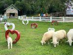 Asia-Farm-Pekanbaru-77.jpg