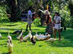 Bali-Bird-Park-HTM.jpg
