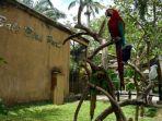 Bali-Bird-Park-tempat-wisata-edukatif-di-Gianyar-Bali.jpg
