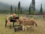 Bali-Farm-House-Buleleng-Bali.jpg
