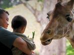 Bandung-Zoo-8.jpg