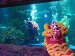 Barongsai-dalam-air-Sea-World-Ancol-atraksi.jpg